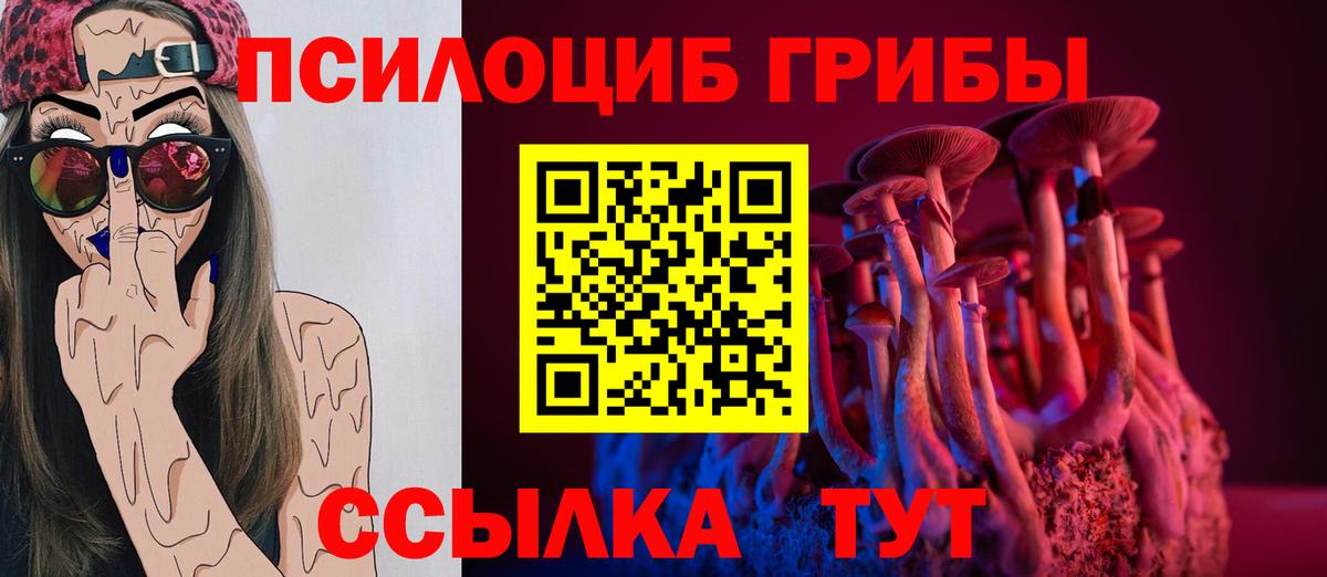 Северобайкальск  Галлюциногенные грибы мухоморы  Вход с VPN 